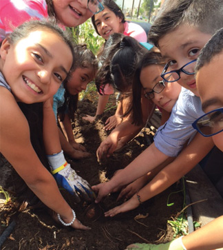 Students participate in a gardening activity