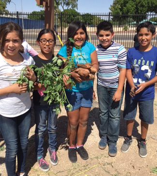 Students pose with a plant outside